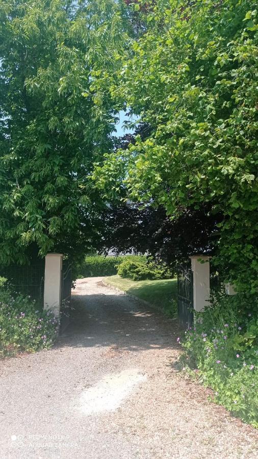 La Bella 12 - Appartement Gite Dans Maison D'Hotes Bordeaux-Saint-Clair Εξωτερικό φωτογραφία